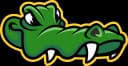 CAIMANS
