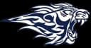 LIONS