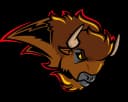 BISONS