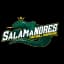 SALAMANDRES