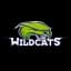 WILDCATS