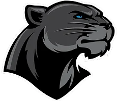 Logo BLACK PANTHERS